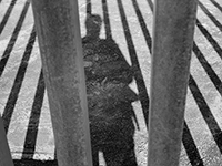 shadow of person behind bars